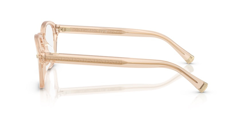 BC4006S 1001 - Pesca