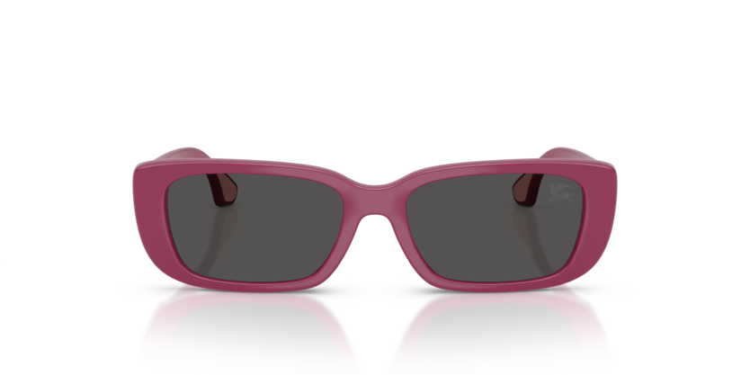 JB4006U 413487 - Viola
