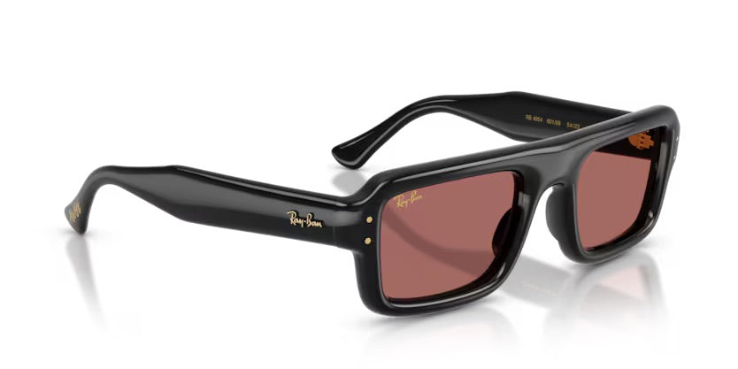 RB4954 601/69 - Nero  (ASAP COLLECTION)