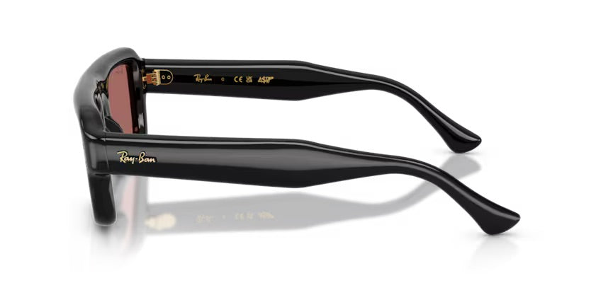 RB4954 601/69 - Nero  (ASAP COLLECTION)