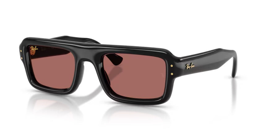 RB4954 601/69 - Nero  (ASAP COLLECTION)