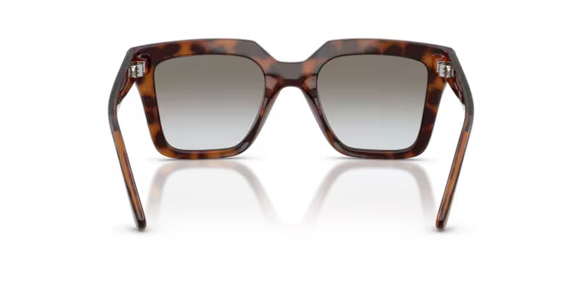 VO5690S 23868G - Havana marrone