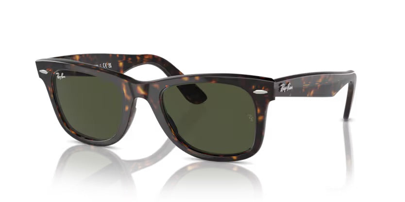 RB2140 - Wayfarer 902- Tartarugato