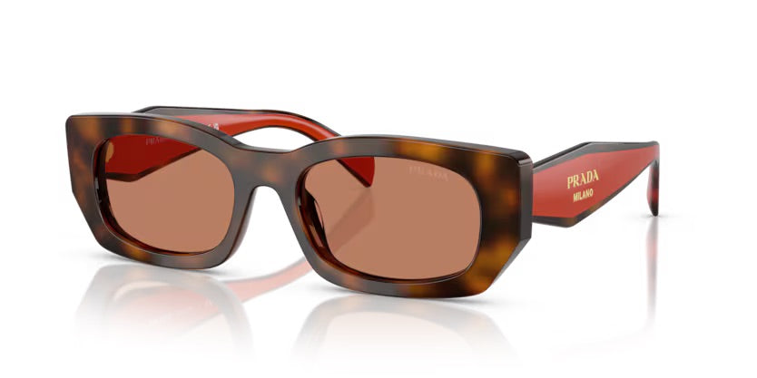 PR B05S 01K90Q - Juniper tortoise/cotto