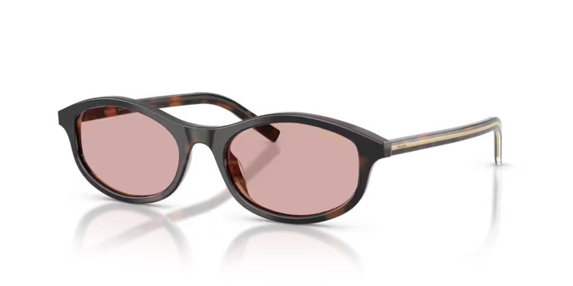 0PR D17S 20P9G1 - Tartarugato ciliegia / corno tabacco