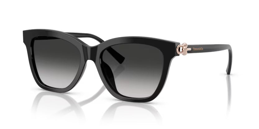 Tiffany&co TF4241D 80013C - Nero