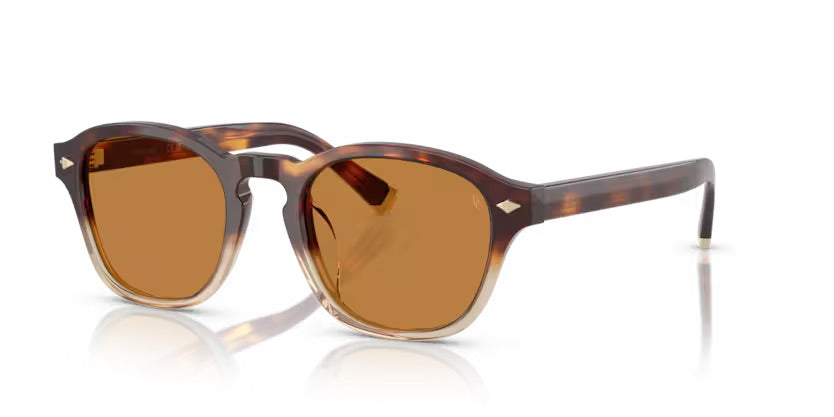 BC4006S 105573 - Havana borgo/crystal