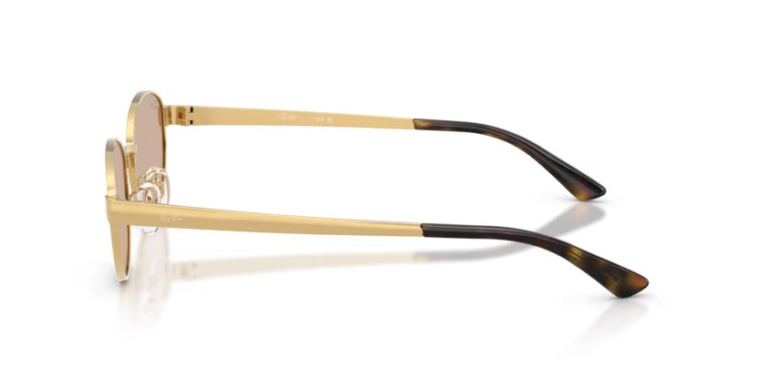 RB3774D 001/3 - Oro arista