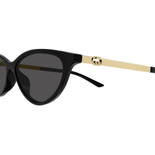 GG2211S-001