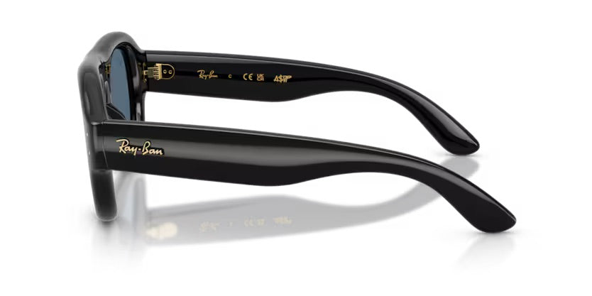 RB4925 601/80 - Nero (ASAP COLLECTION)