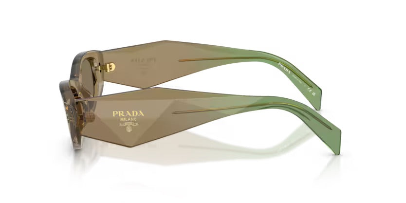 PR B16S 29E90F - Terra