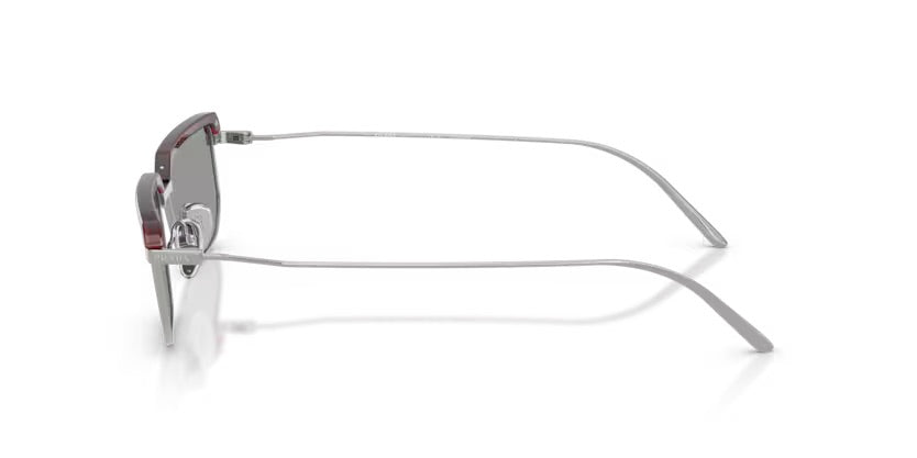 0PR D64S 20Q50Q - Tartaruga castagno