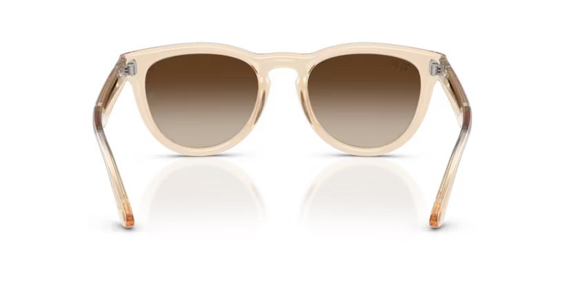 0RB2237 690213 - Nude trasparente