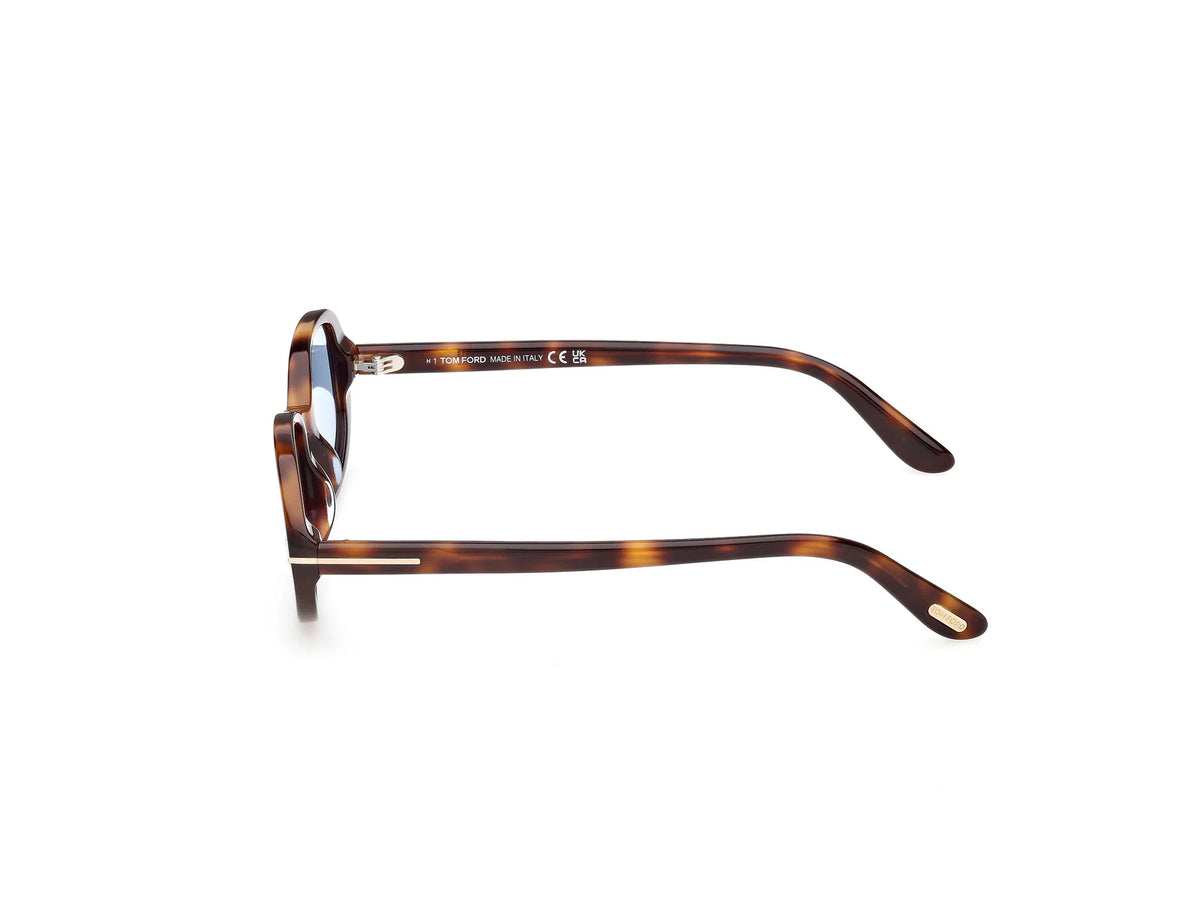 TF1364 Iggy 53V Havana