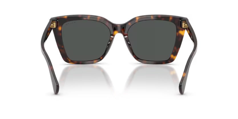 RA5349U 500387 - Havana scuro lucido