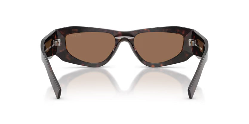 PR B19S 17N06B - Root tartarugato