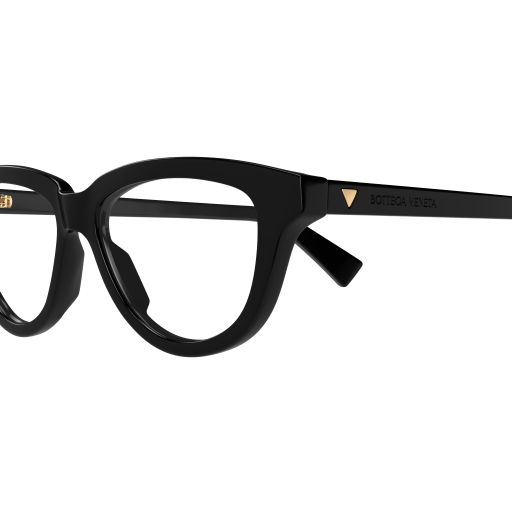 BV1366O-001