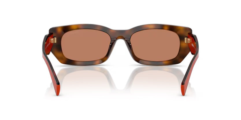 PR B05S 01K90Q - Juniper tortoise/cotto