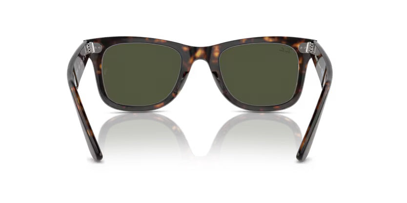 RB2140 - Wayfarer 902- Tartarugato