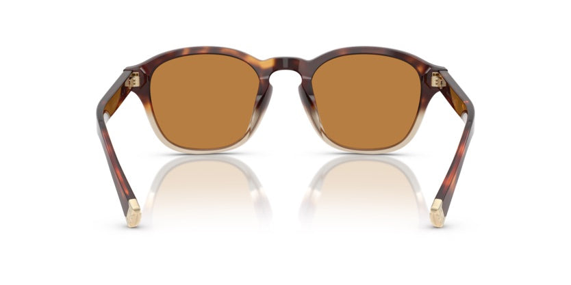 BC4006S 105573 - Havana borgo/crystal