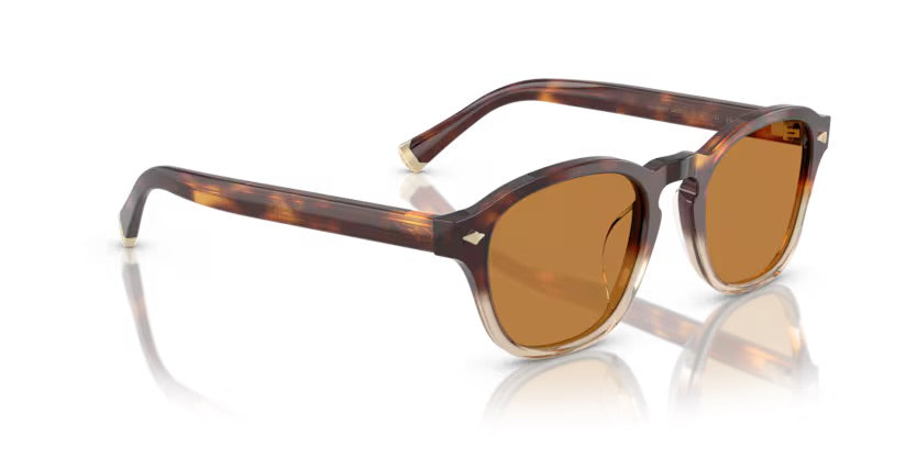 BC4006S 105573 - Havana borgo/crystal