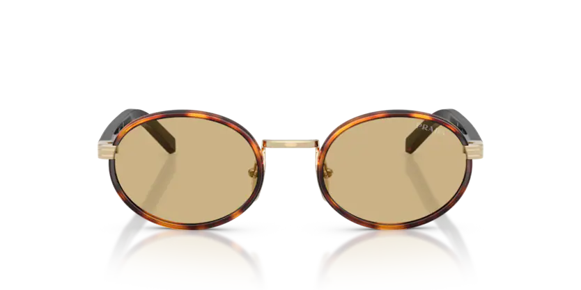 Prada PR B56S 21E10R - Root tartarugato
