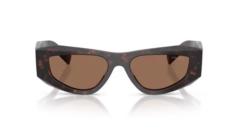 PR B19S 17N06B - Root tartarugato