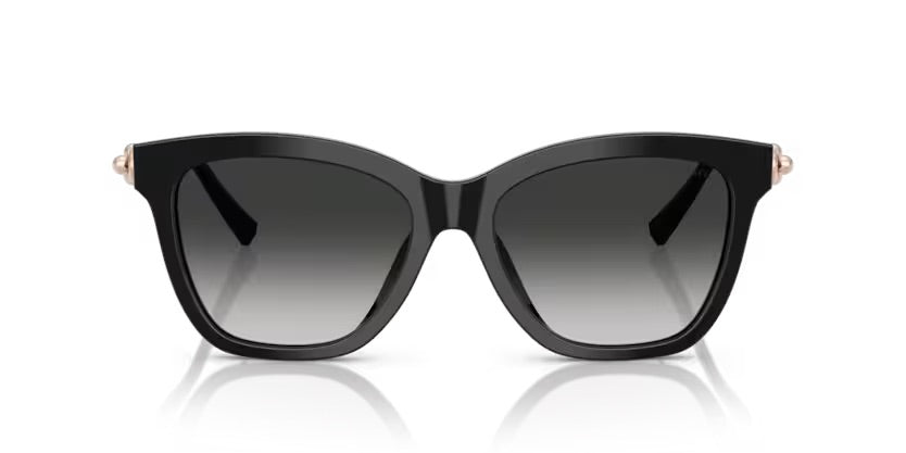 Tiffany&co TF4241D 80013C - Nero