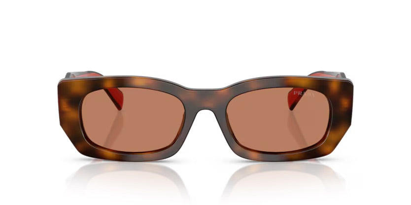 PR B05S 01K90Q - Juniper tortoise/cotto