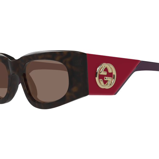 GG1664S-004 Havana/purple/brown