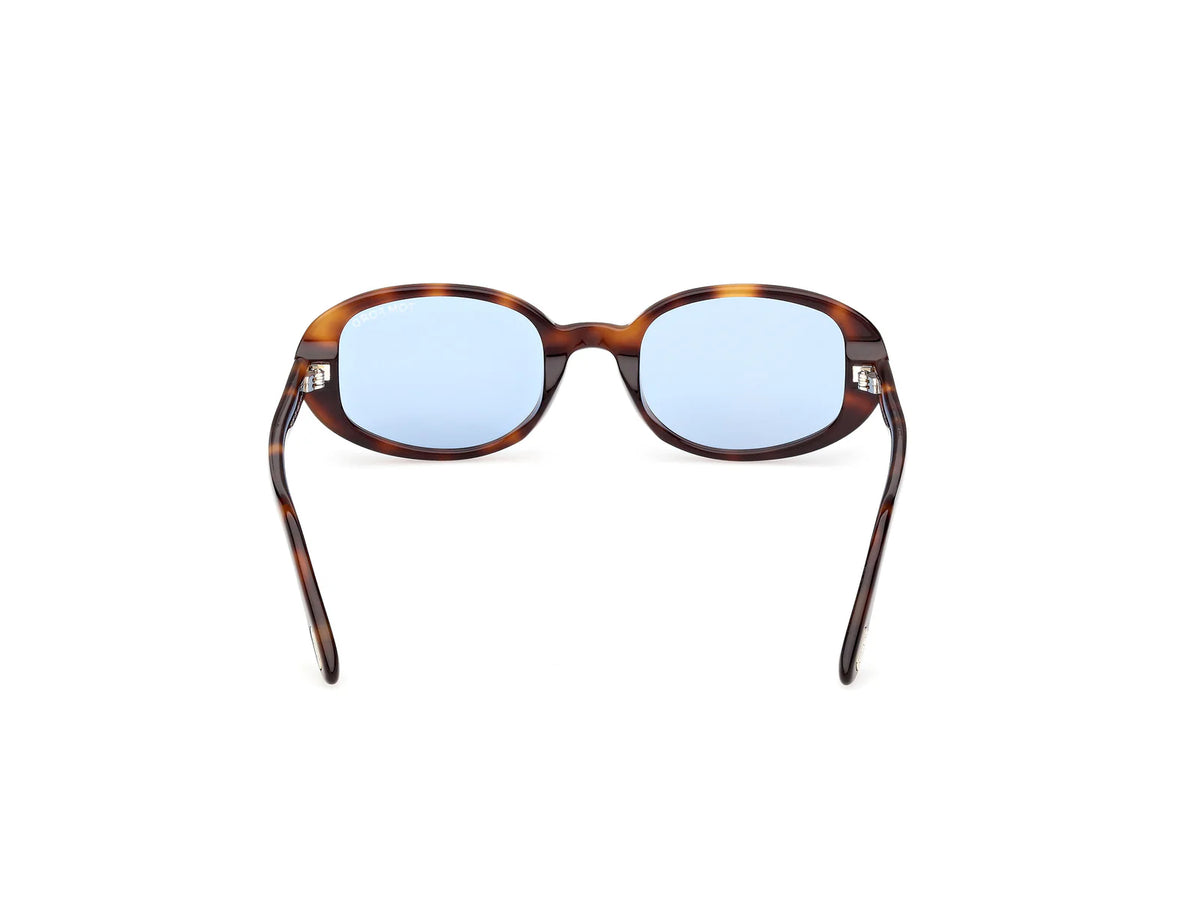 TF1364 Iggy 53V Havana