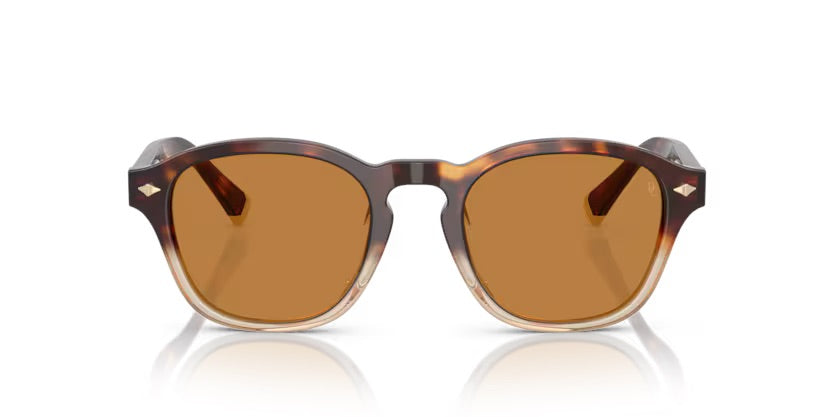 BC4006S 105573 - Havana borgo/crystal
