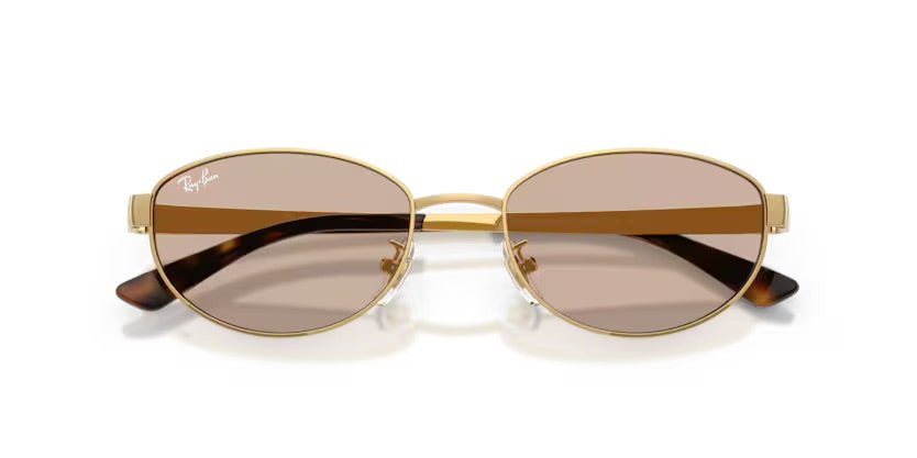 RB3774D 001/3 - Oro arista