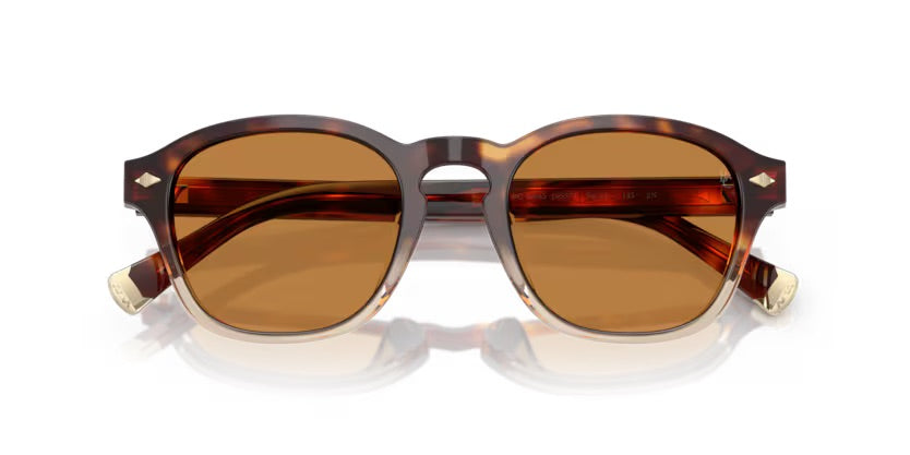 BC4006S 105573 - Havana borgo/crystal