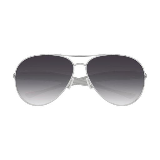 BV1305S-008 Silver