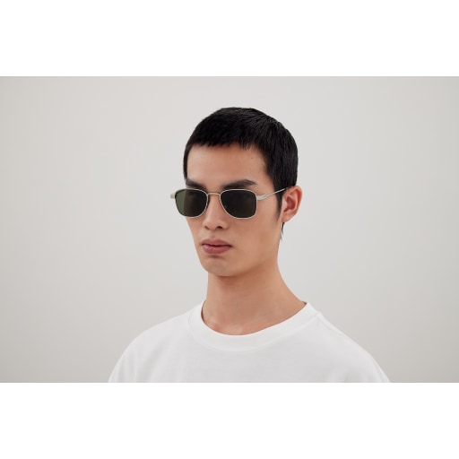 SL 741-002 Silver