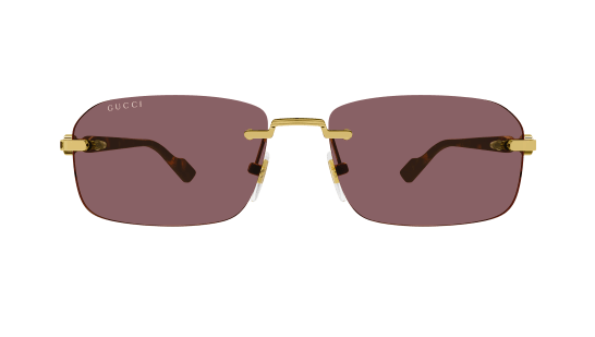 Gucci Gg1221S 002 Brown